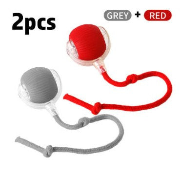 Auto-Chase Pet Ball – Perfect for Dogs & Cats