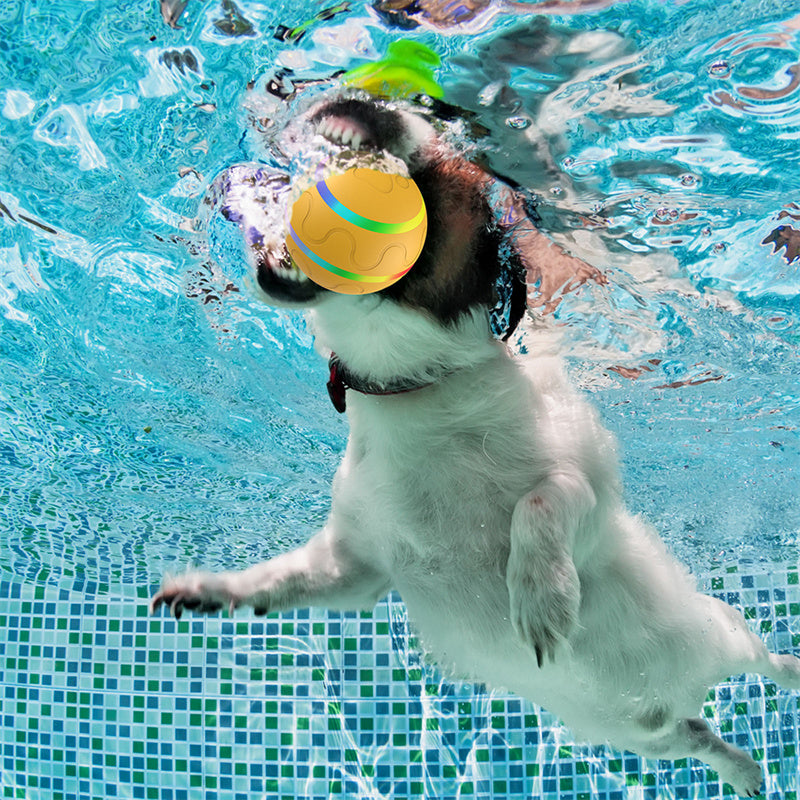 Auto-Rolling Pet Ball – Indoor Exercise Toy for Cats & Dogs