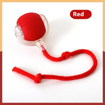 Auto-Chase Pet Ball – Perfect for Dogs & Cats