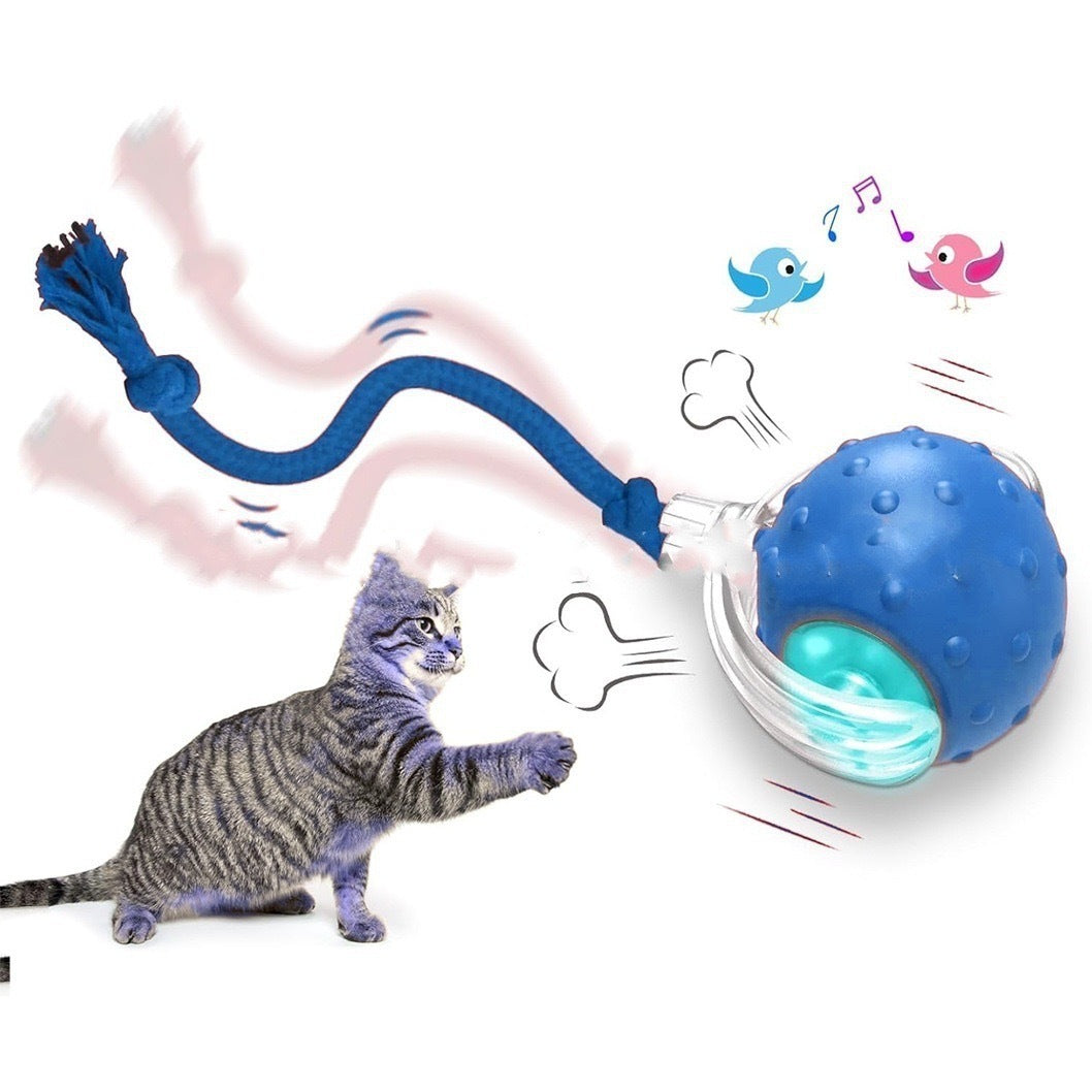 Auto-Chase Pet Ball – Perfect for Dogs & Cats