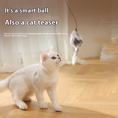 Motion-Activated Pet Teaser – Fun for Both Dogs & Cats