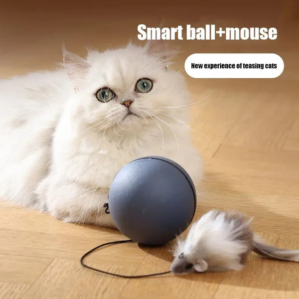 Motion-Activated Pet Teaser – Fun for Both Dogs & Cats