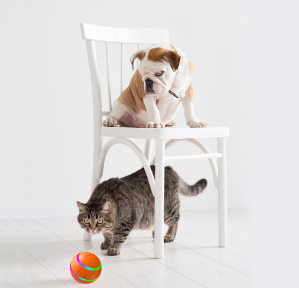 Auto-Rolling Pet Ball – Indoor Exercise Toy for Cats & Dogs