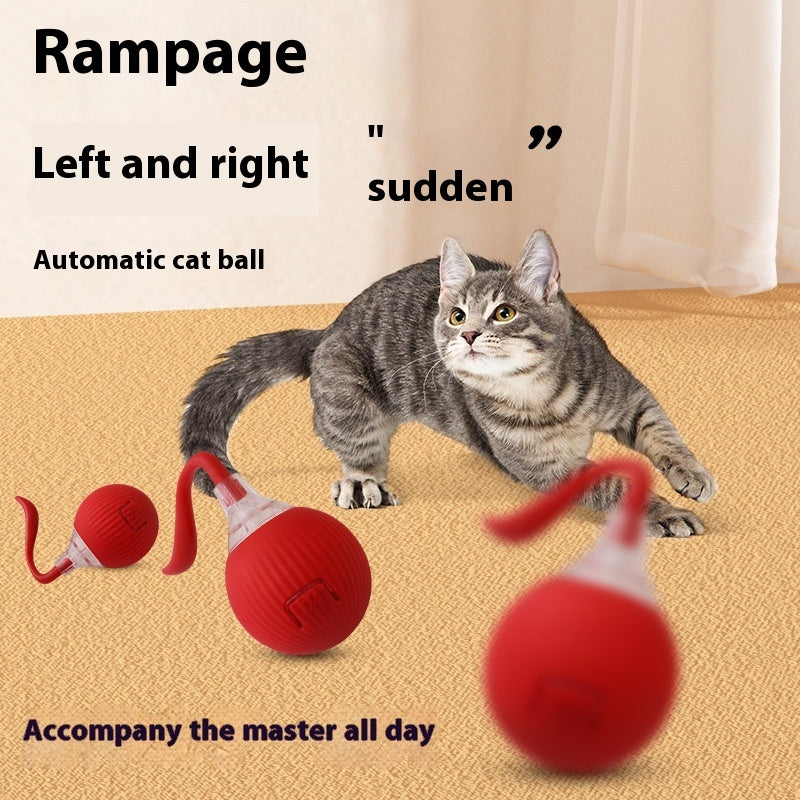 Auto-Chase Pet Ball – Perfect for Dogs & Cats