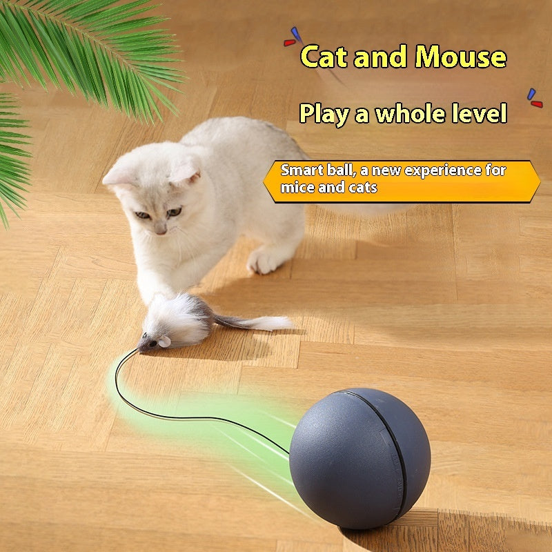 Motion-Activated Pet Teaser – Fun for Both Dogs & Cats