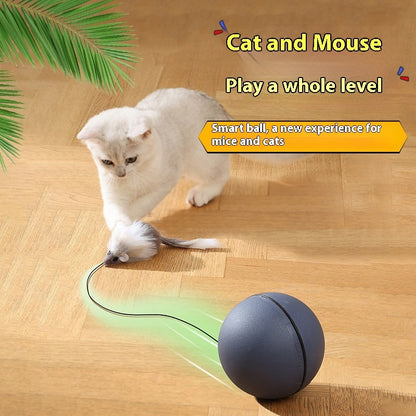 Motion-Activated Pet Teaser – Fun for Both Dogs & Cats