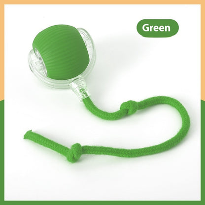 Auto-Chase Pet Ball – Perfect for Dogs & Cats