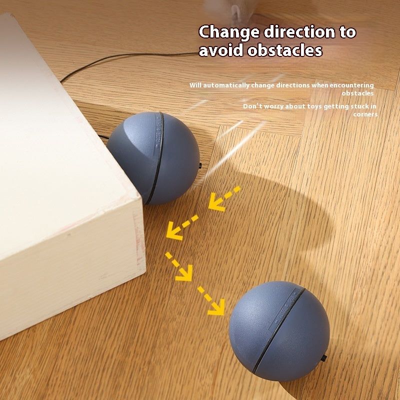 Motion-Activated Pet Teaser – Fun for Both Dogs & Cats
