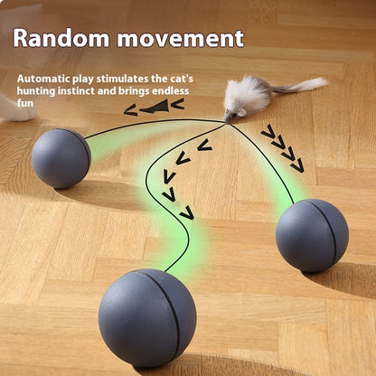 Motion-Activated Pet Teaser – Fun for Both Dogs & Cats
