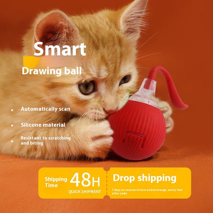 Auto-Chase Pet Ball – Perfect for Dogs & Cats