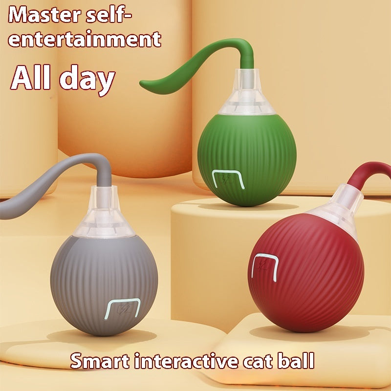 Auto-Chase Pet Ball – Perfect for Dogs & Cats