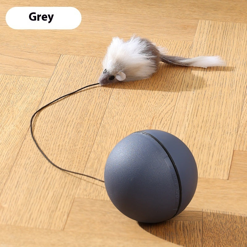 Motion-Activated Pet Teaser – Fun for Both Dogs & Cats