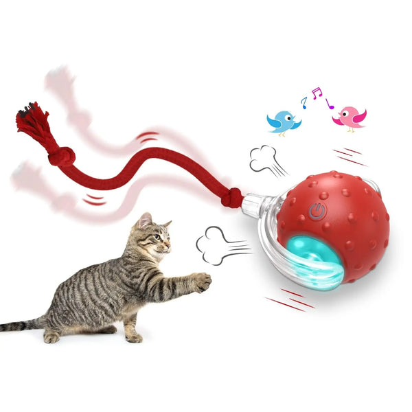 Auto-Chase Pet Ball – Perfect for Dogs & Cats